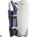 Wicket Keeping Pads